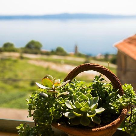 Small House Pivcevi Podgora Exterior foto